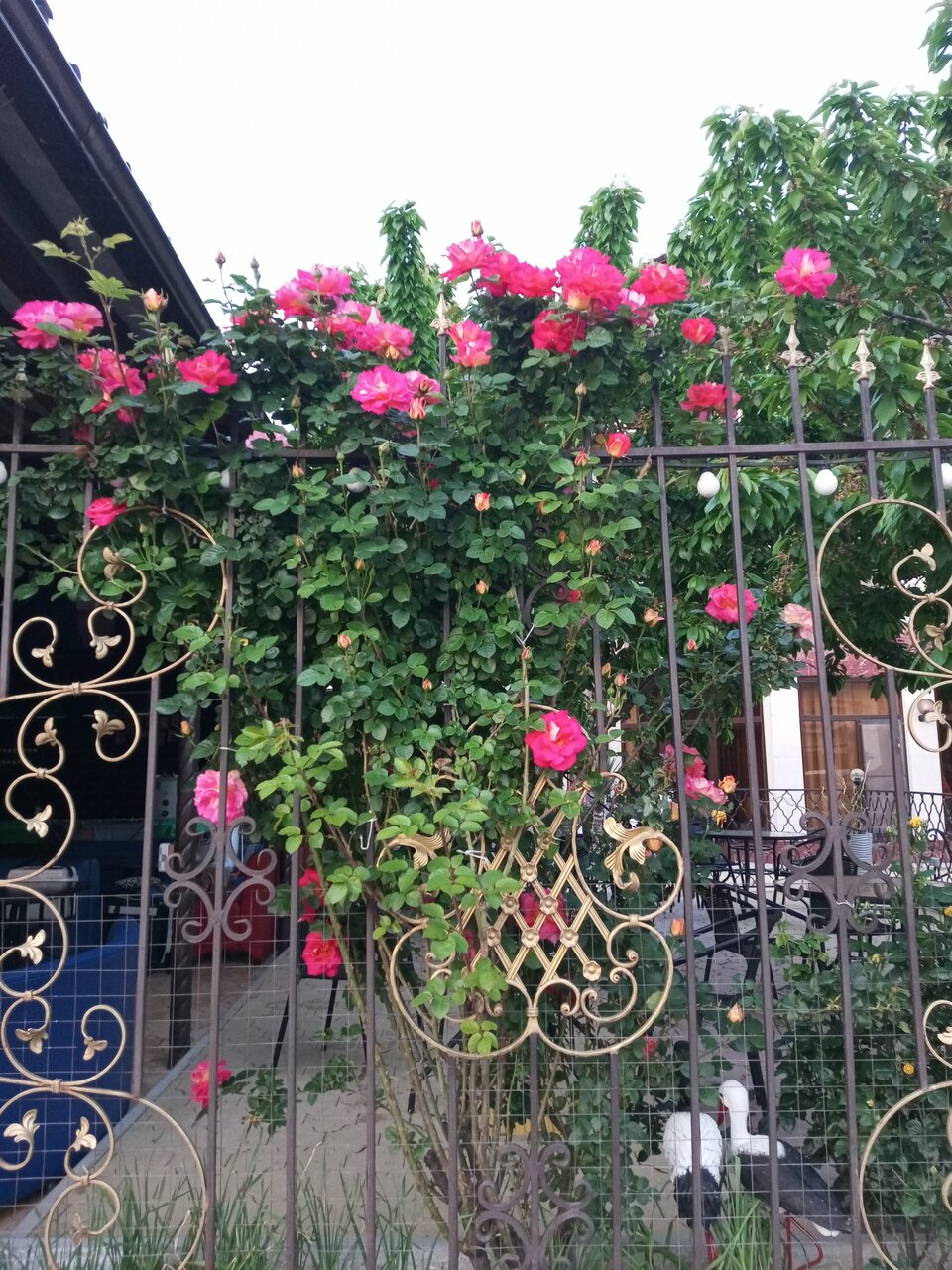 Отель Радужный Сукко-13