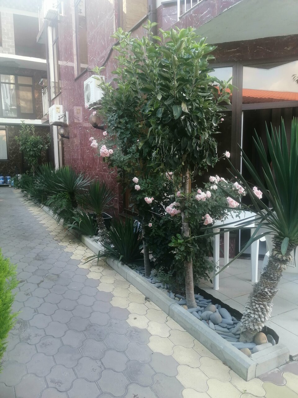 Отель Радужный Сукко-210