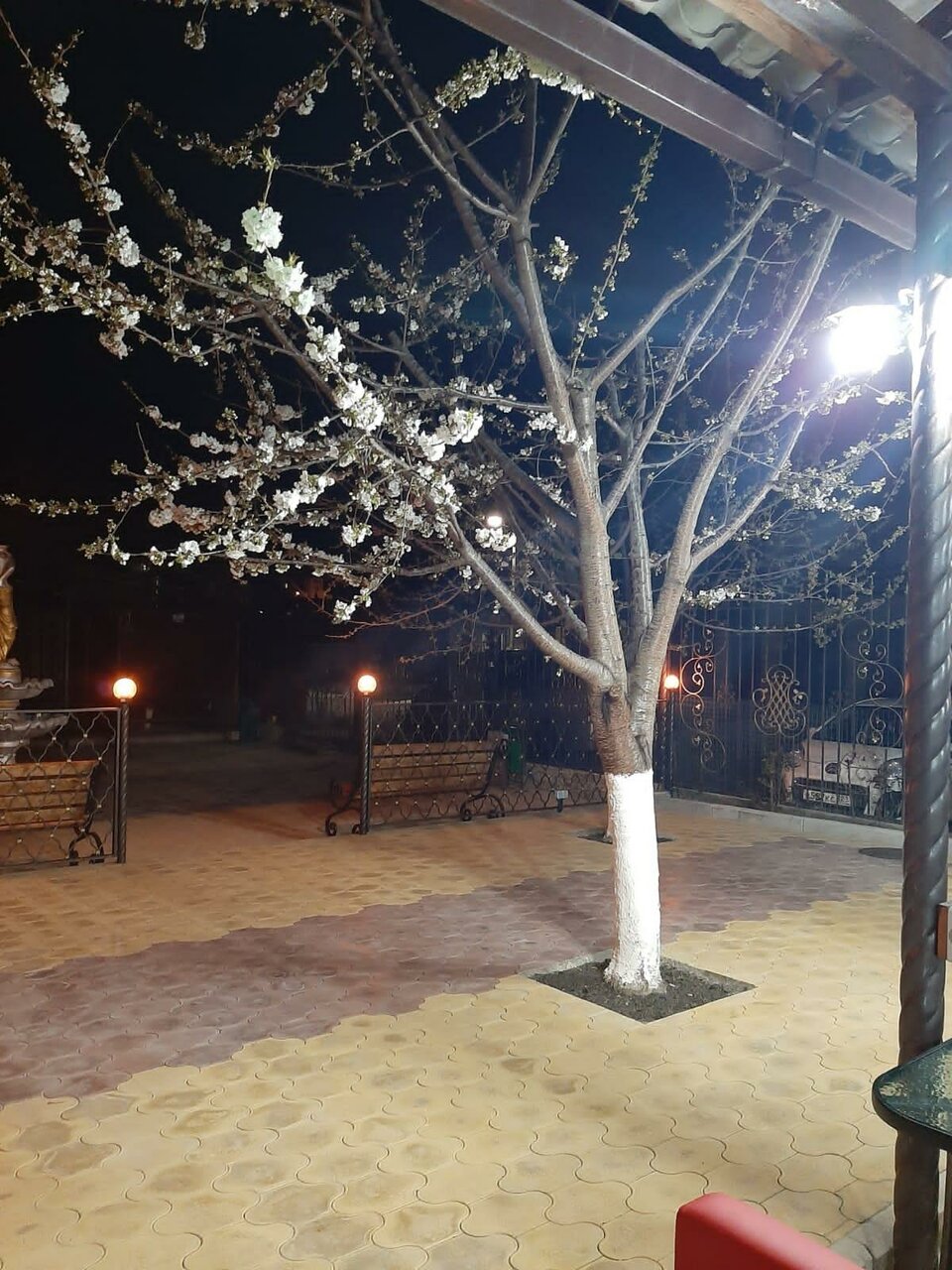 Отель Радужный Сукко-60