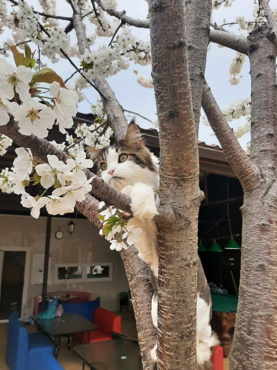 Отель Радужный Сукко-18