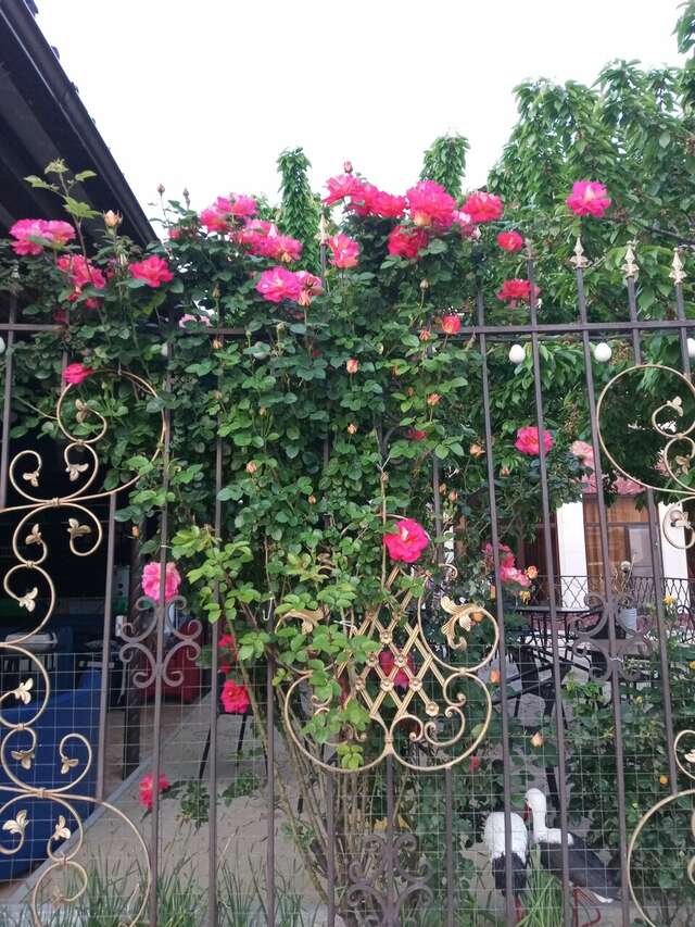 Отель Радужный Сукко-12