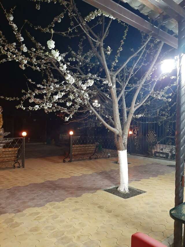 Отель Радужный Сукко-59