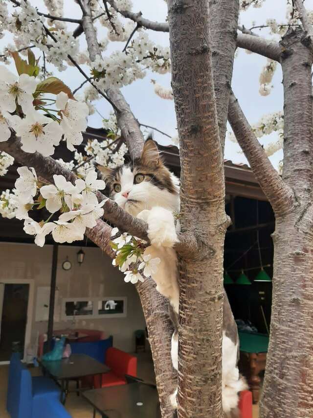 Отель Радужный Сукко-17